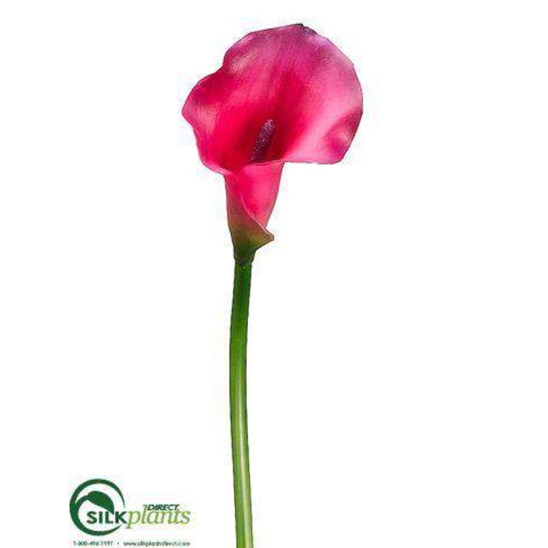Silk Plants Direct Calla Lily Spray – Beauty – Pack of 12 Beauty