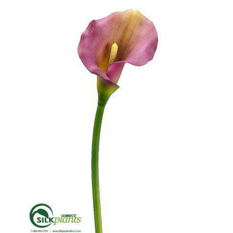 Silk Plants Direct Calla Lily Spray – Purple – Pack of 12 Purple