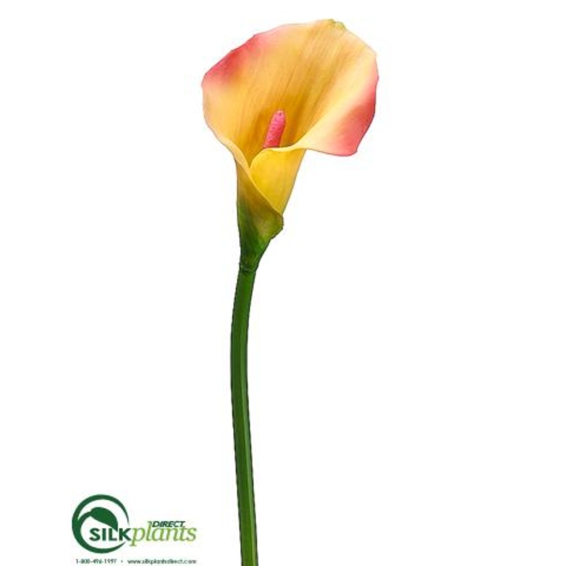Silk Plants Direct Calla Lily Spray – Yellow Pink – Pack of 12 Yellow Pink