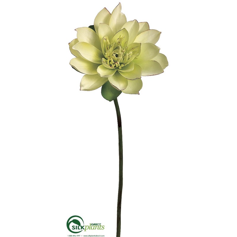 Silk Plants Direct Lotus Bloom Spray – Green – Pack of 12 Green