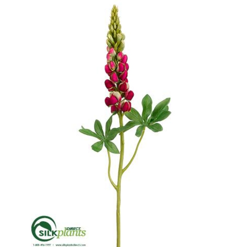 Silk Plants Direct Lupinus Spray – Beauty Green – Pack of 12 Beauty Green