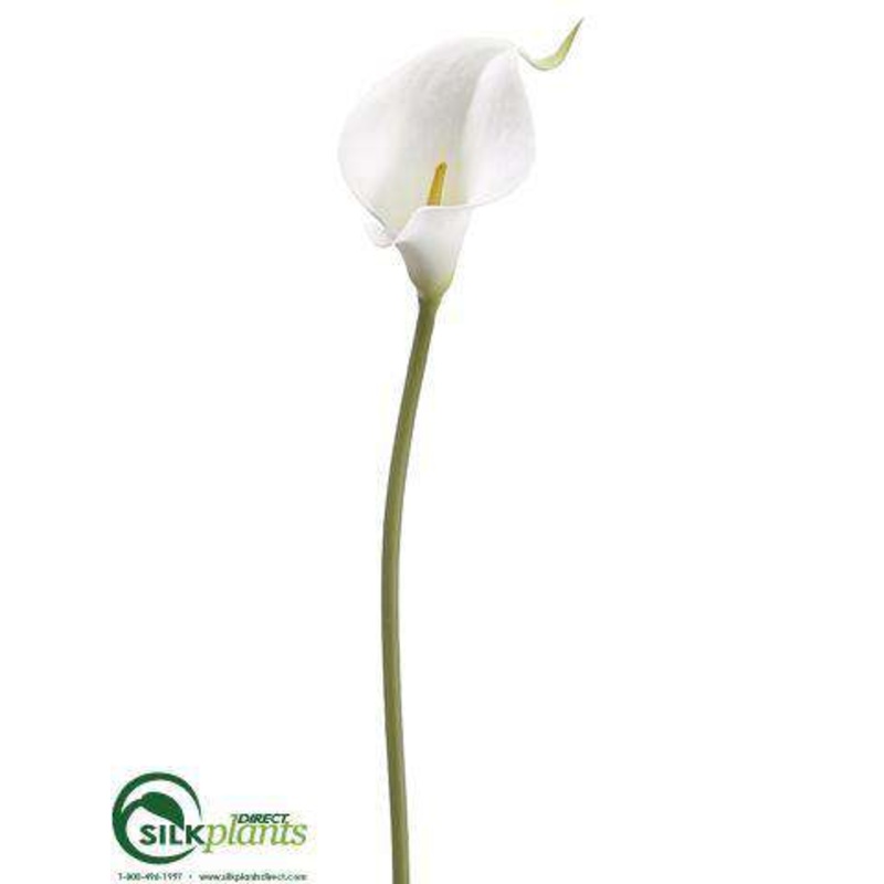 Silk Plants Direct Mini Calla Lily Spray – White – Pack of 12 White