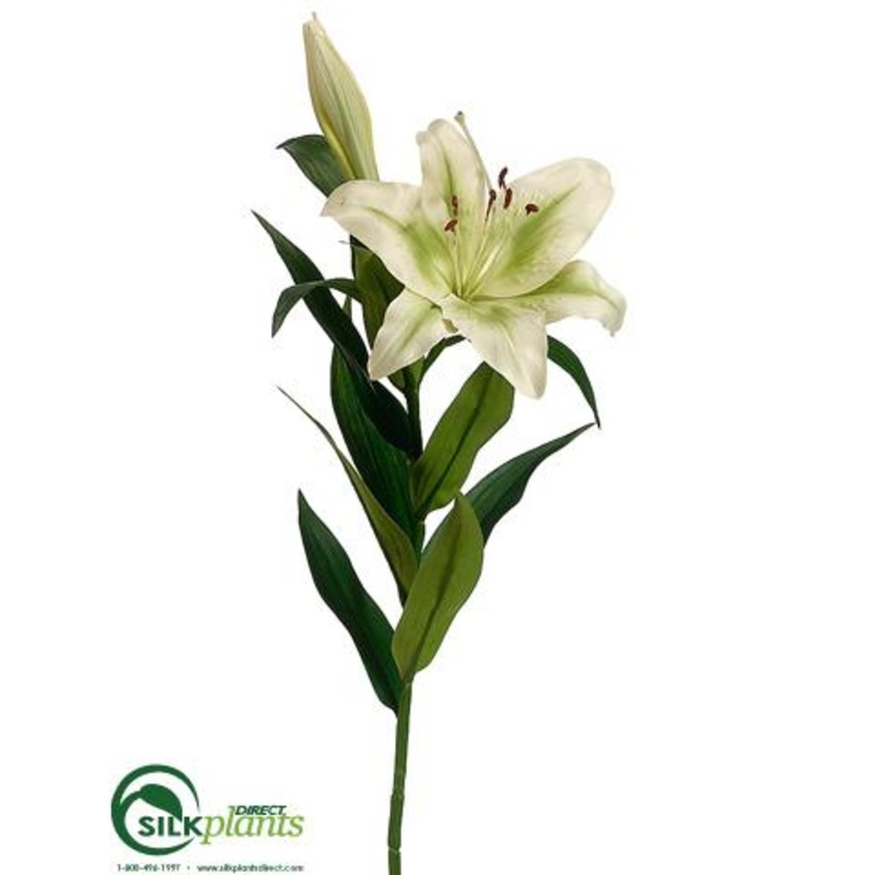 Silk Plants Direct Stargazer Lily Spray – Green – Pack of 12 Green