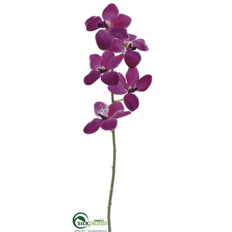 Silk Plants Direct Vanda Orchid Spray – Orchid – Pack of 12 Orchid