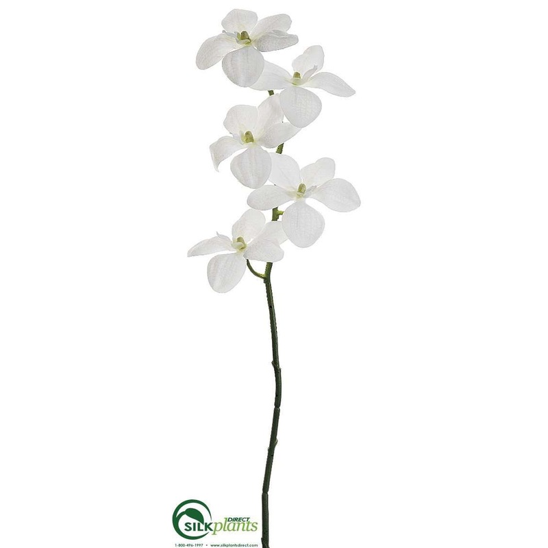 Silk Plants Direct Vanda Orchid Spray – White – Pack of 12 White