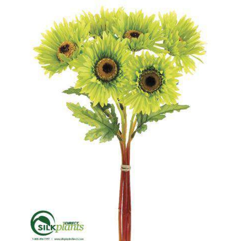 Silk Plants Direct African Daisy Bundle – Green – Pack of 12 Green