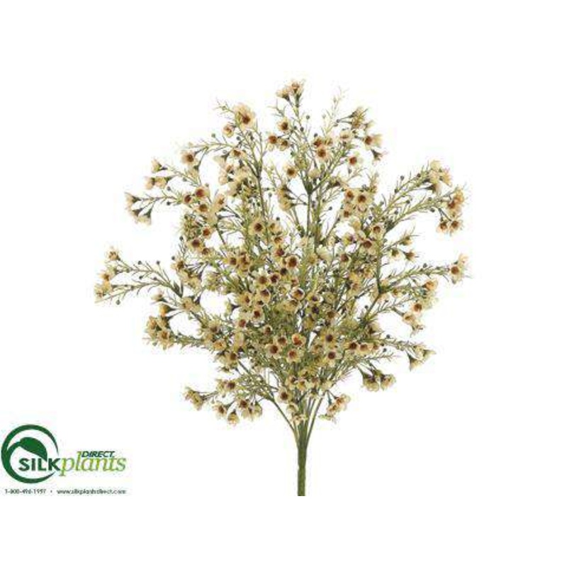 Silk Plants Direct Wax Flower Bush – Yellow Soft – Pack of 12 Yellow Soft