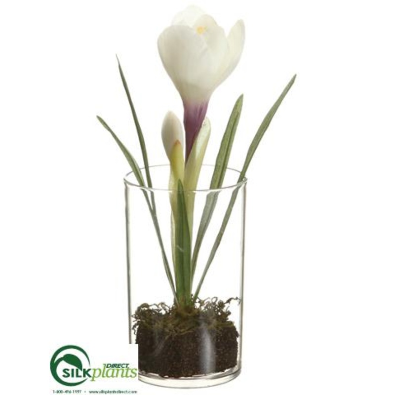 Silk Plants Direct Crocus – White – Pack of 12 White