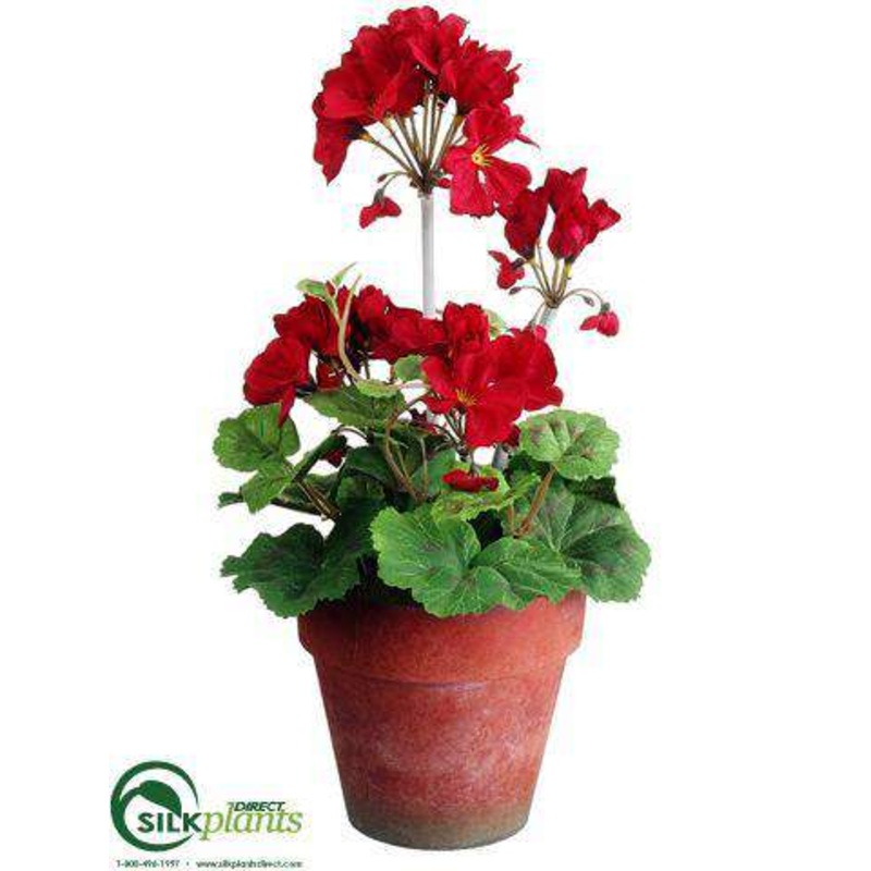 Silk Plants Direct Geranium – Red – Pack of 12 Red