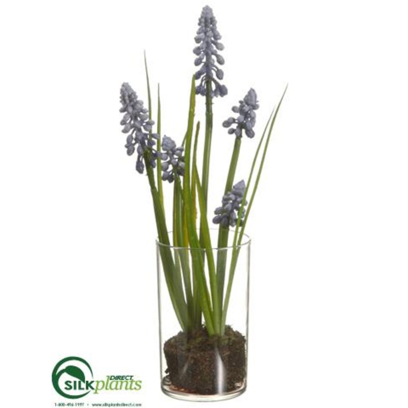 Silk Plants Direct Grape Hyacinth – Blue – Pack of 12 Blue