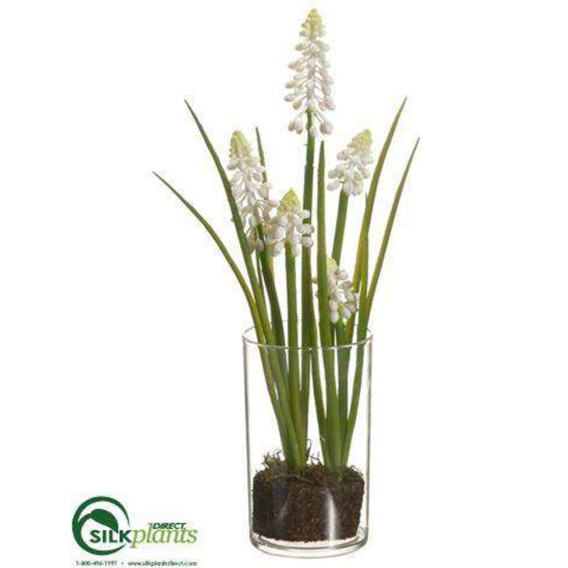 Silk Plants Direct Grape Hyacinth – White – Pack of 12 White