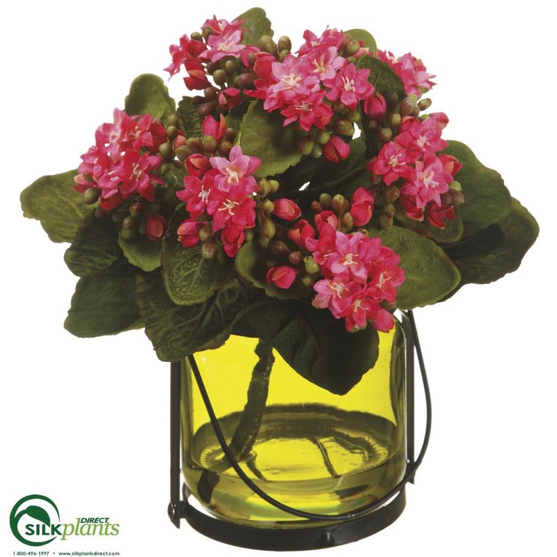 Silk Plants Direct Kalanchoe – Pink – Pack of 1 Pink