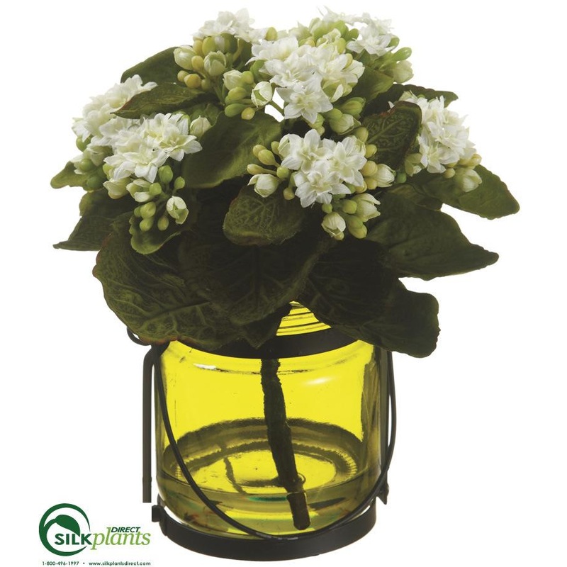 Silk Plants Direct Kalanchoe – White – Pack of 1 White