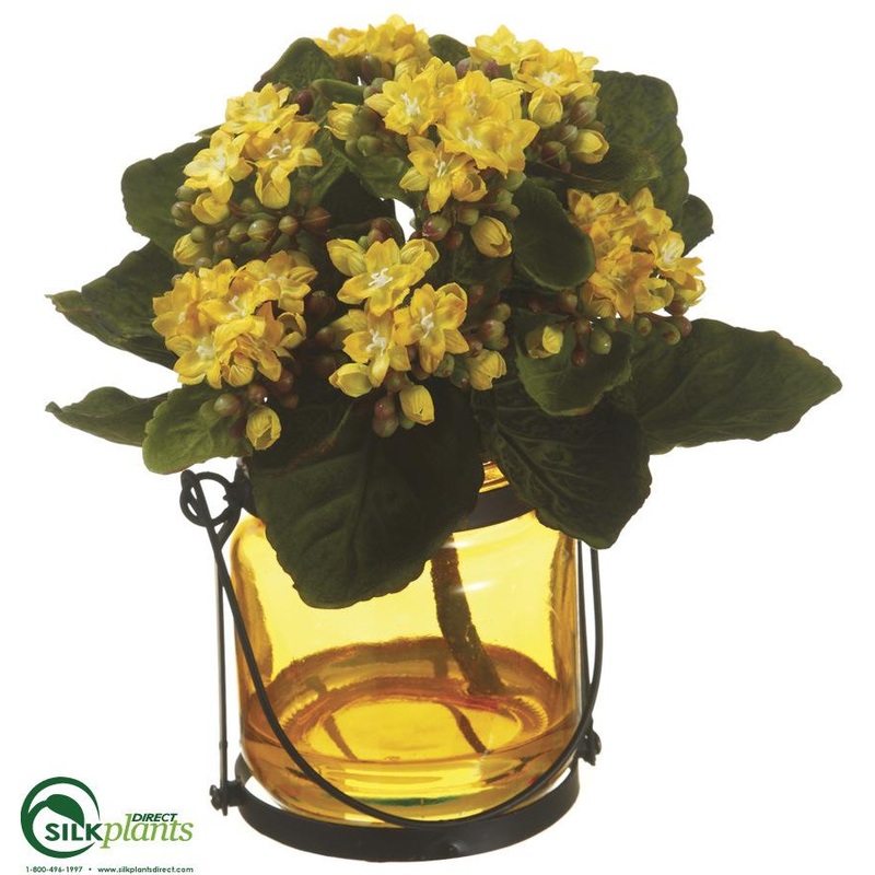 Silk Plants Direct Kalanchoe – Yellow – Pack of 1 Yellow