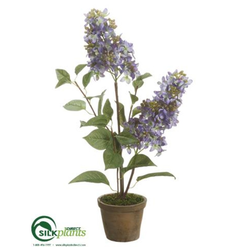 Silk Plants Direct Lilac – Lilac – Pack of 6 Lilac