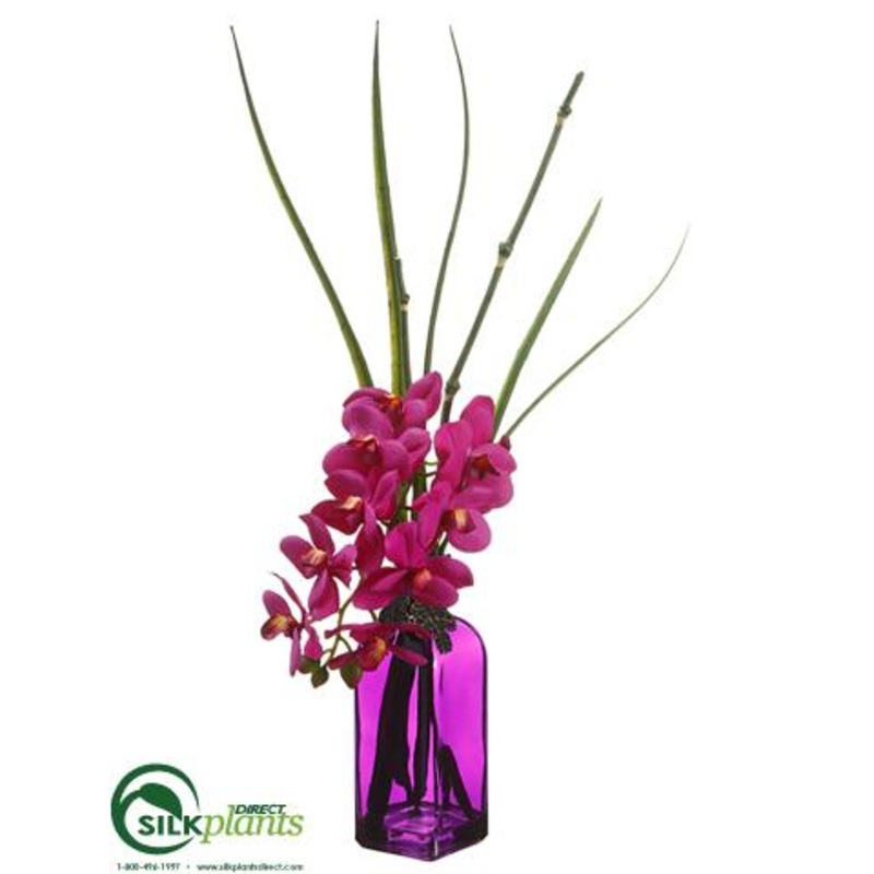 Silk Plants Direct Phalaenopsis Orchid – Orchid – Pack of 6 Orchid