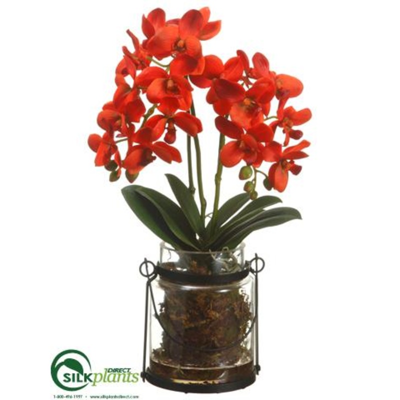 Silk Plants Direct Phalaenopsis Orchid Plant – Flame – Pack of 1 White