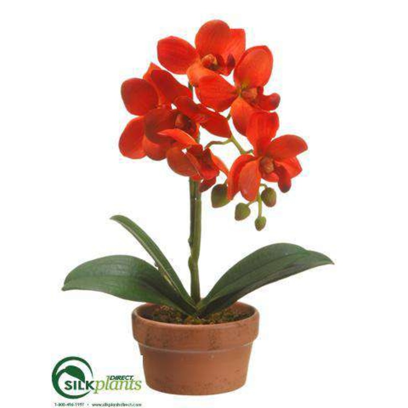 Silk Plants Direct Phalaenopsis Orchid Plant – Flame – Pack of 4 White