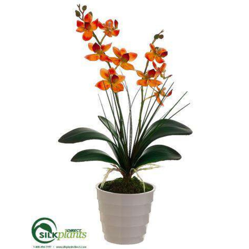 Silk Plants Direct Phalaenopsis Orchid Plant – Orange – Pack of 12 White