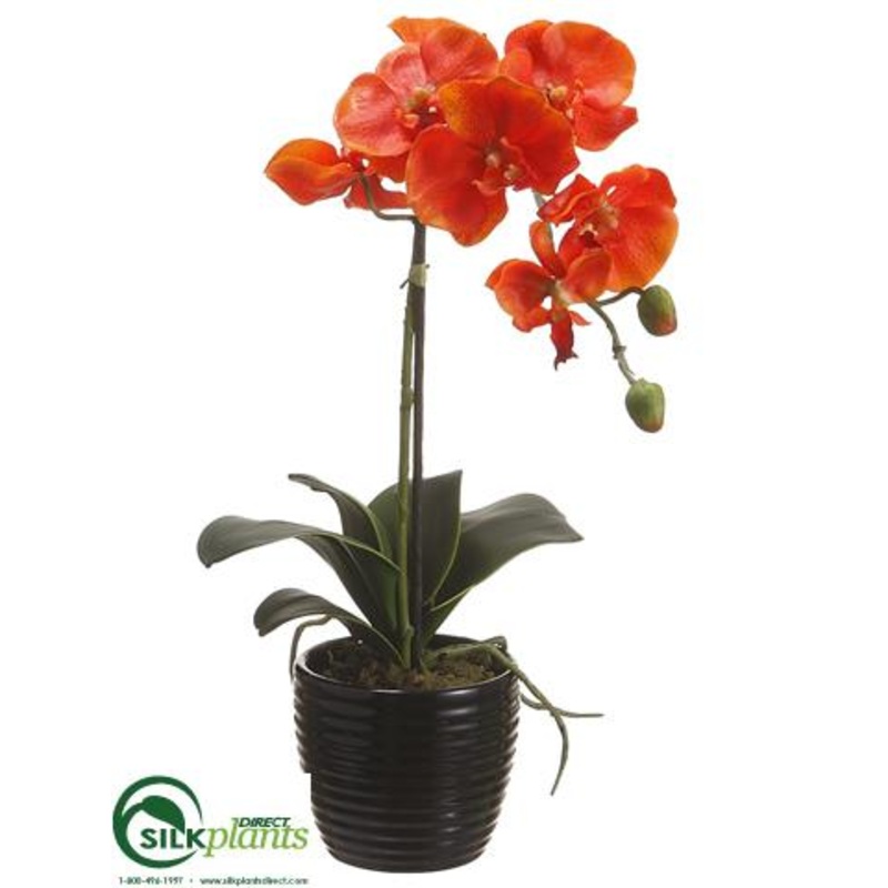 Silk Plants Direct Phalaenopsis Orchid Plant – Orange – Pack of 6 White