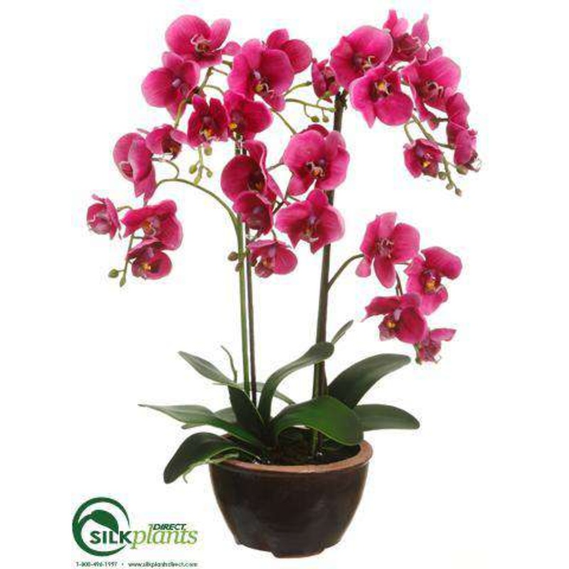 Silk Plants Direct Phalaenopsis Orchid Plant – Orchid – Pack of 3 White