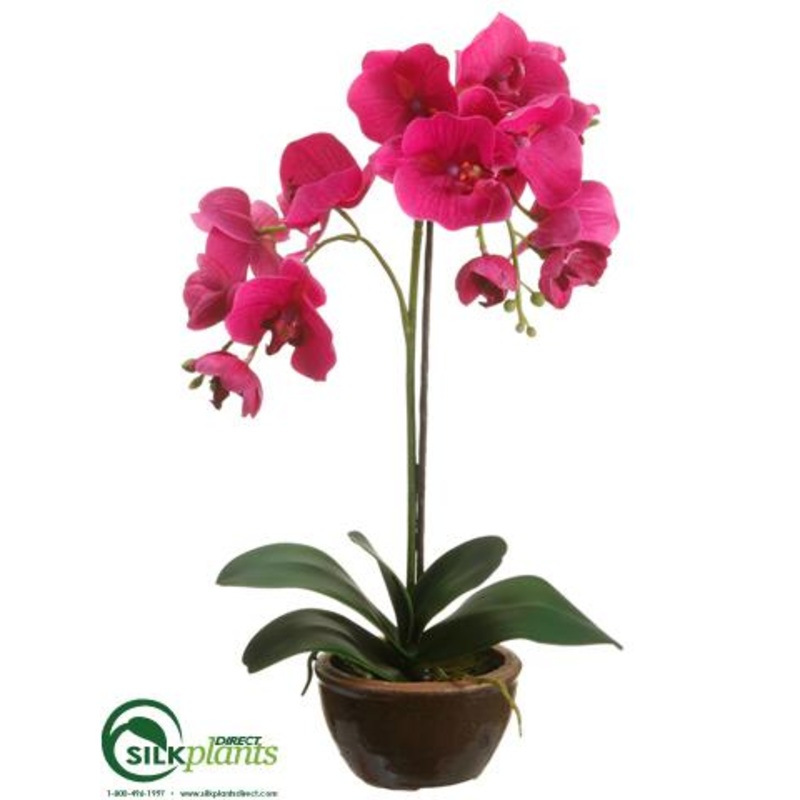 Silk Plants Direct Phalaenopsis Orchid Plant – Orchid – Pack of 4 White