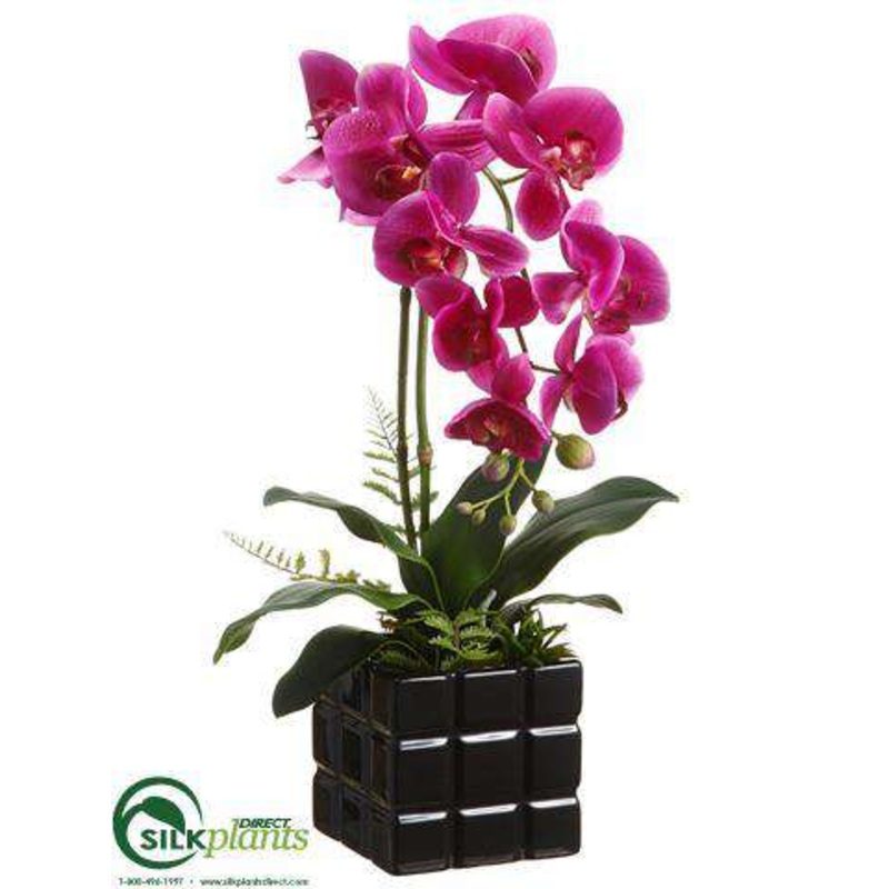 Silk Plants Direct Phalaenopsis Orchid Plant – Orchid – Pack of 4 White Green