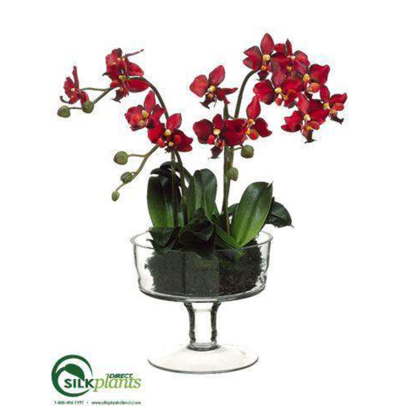 Silk Plants Direct Phalaenopsis Orchid Plant – Red – Pack of 1 White