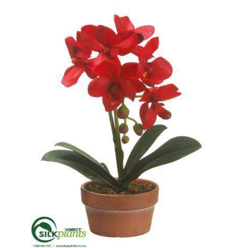 Silk Plants Direct Phalaenopsis Orchid Plant – Red – Pack of 4 White