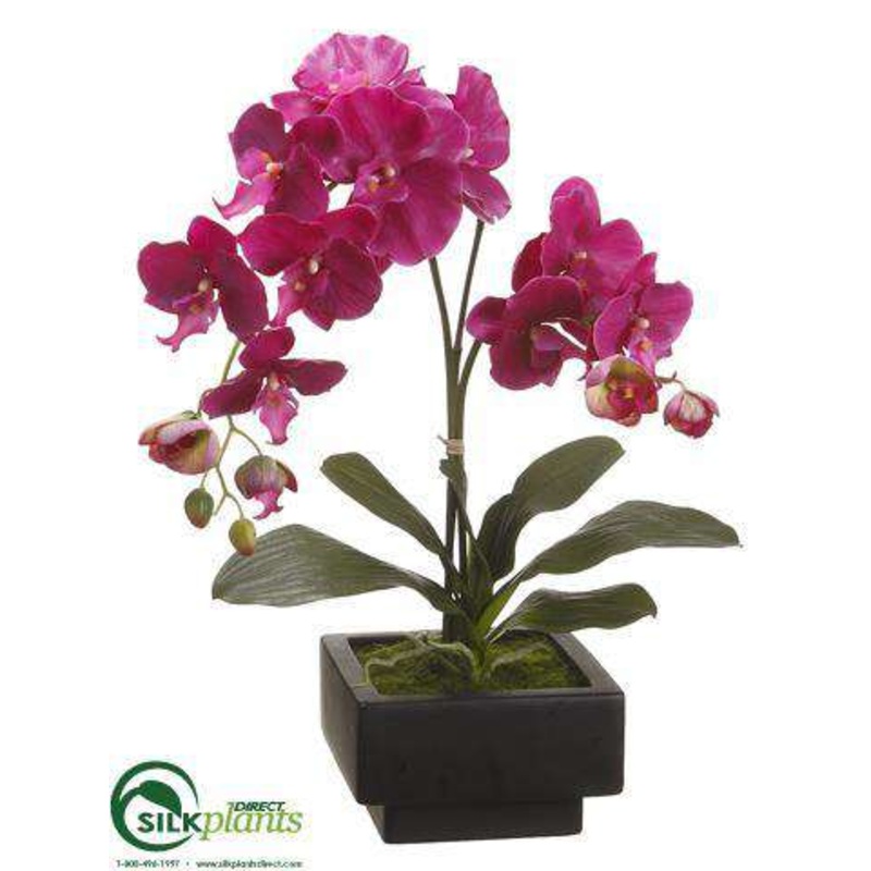 Silk Plants Direct Phalaenopsis Orchid Plant – Violet – Pack of 1 White