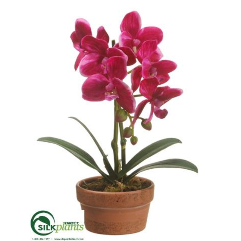 Silk Plants Direct Phalaenopsis Orchid Plant – Violet – Pack of 4 White