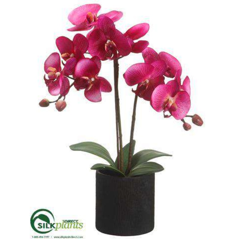 Silk Plants Direct Phalaenopsis Orchid Plant – Violet Two Tone – Pack of 6 White