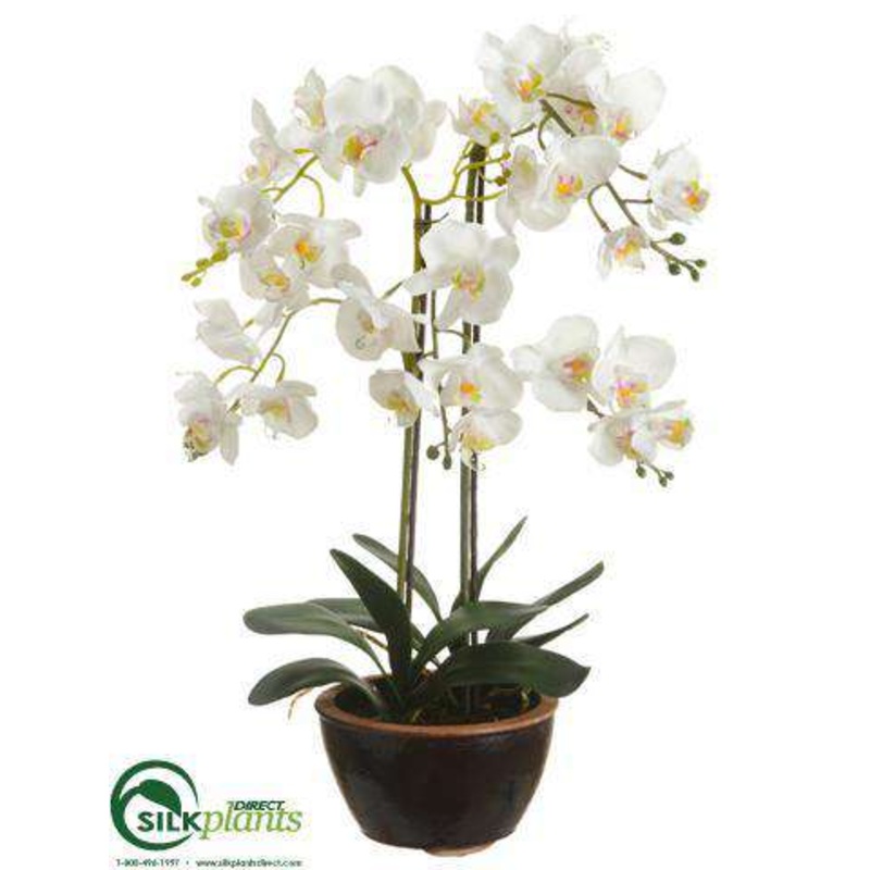 Silk Plants Direct Phalaenopsis Orchid Plant – White – Pack of 3 White Green