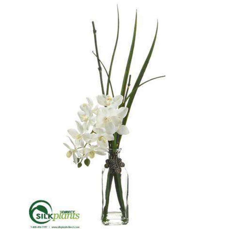 Silk Plants Direct Phalaenopsis Orchid – White – Pack of 6 White