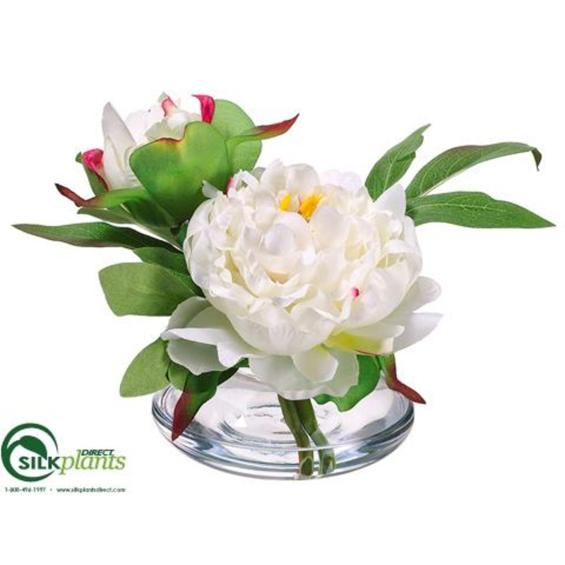 Silk Plants Direct Peony – Cream Beauty – Pack of 6 Cream Beauty