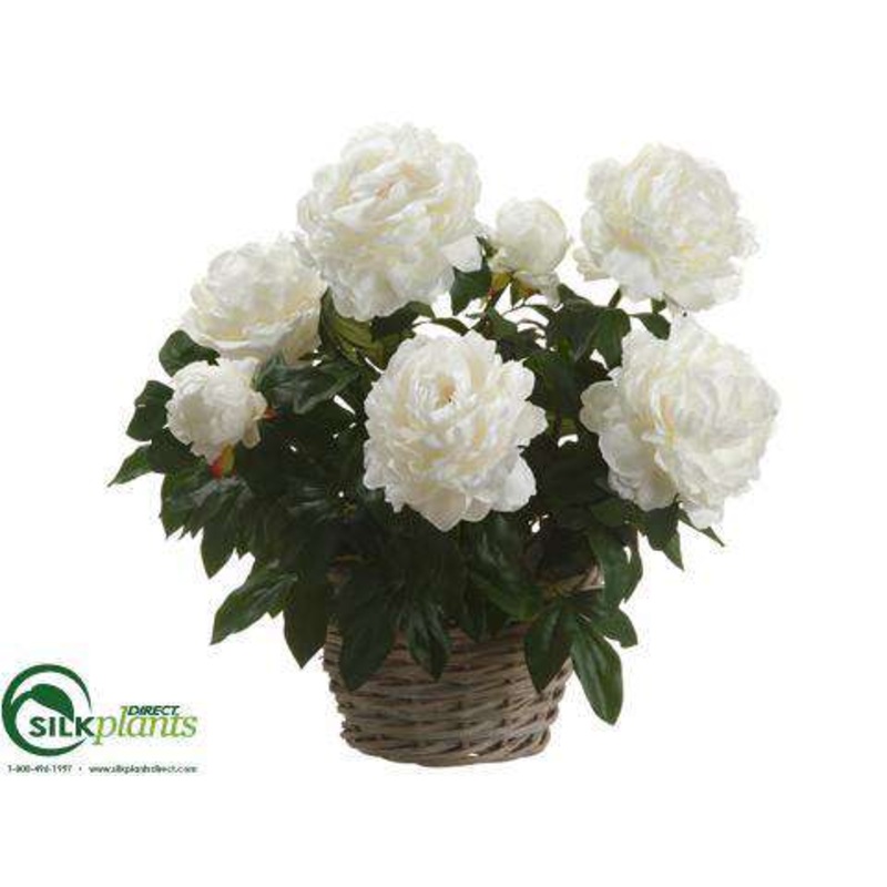 Silk Plants Direct Peony – Cream – Pack of 1 Cream