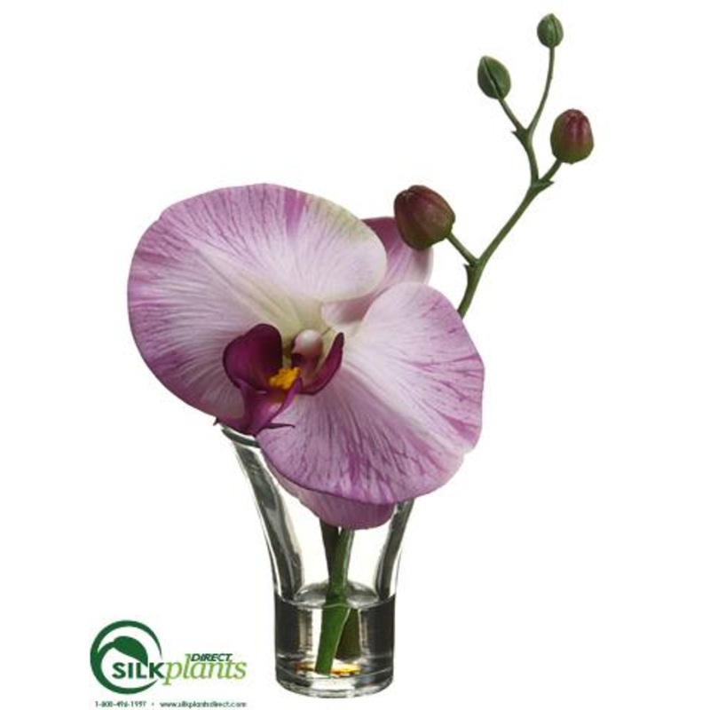 Silk Plants Direct Phalaenopsis Orchid – Lavender – Pack of 12 Lavender