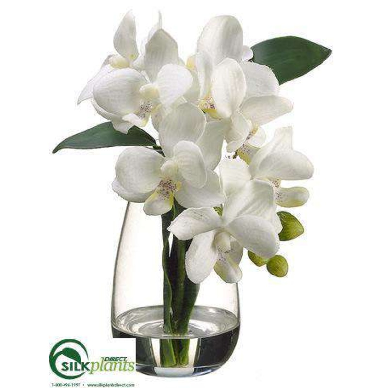 Silk Plants Direct Phalaenopsis Orchid Plant – Cream – Pack of 4 White Green