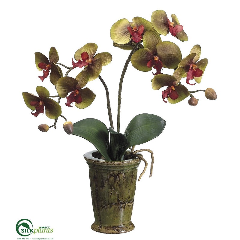 Silk Plants Direct Phalaenopsis Orchid Plant – Green Brick – Pack of 6 White Green