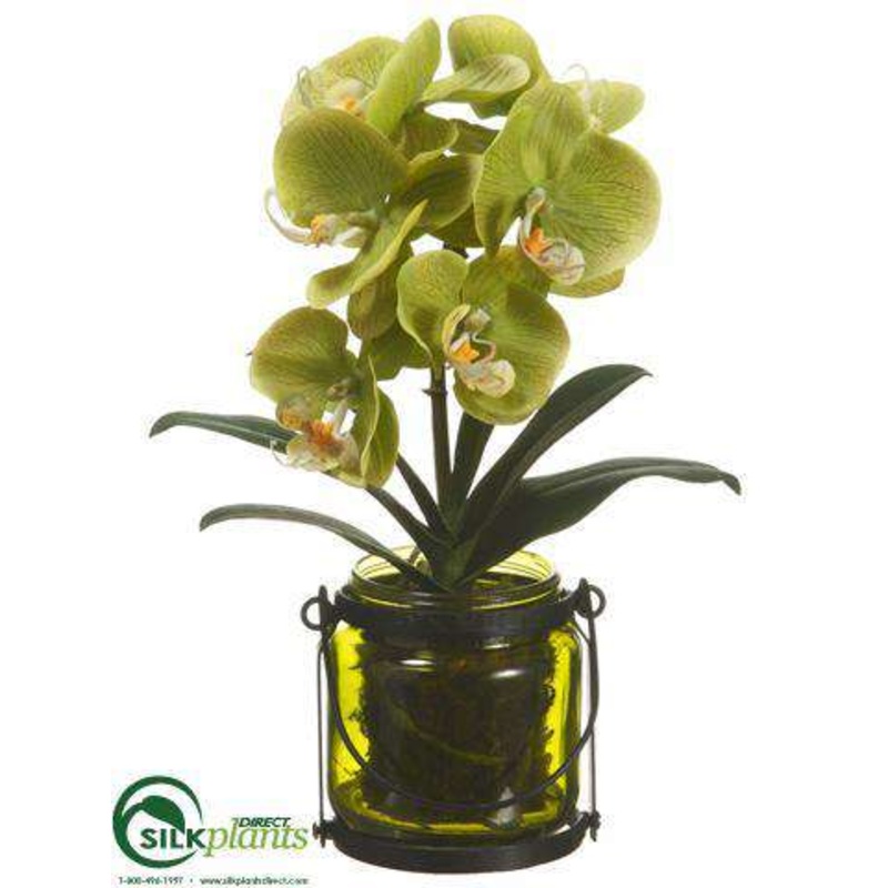 Silk Plants Direct Phalaenopsis Orchid Plant – Green – Pack of 4 White Green