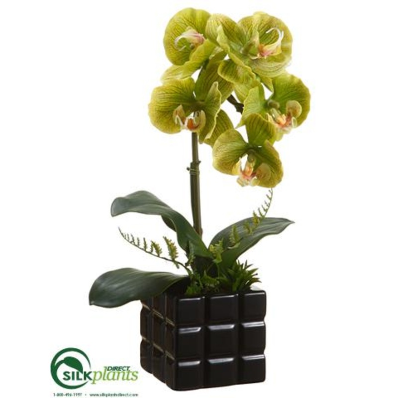 Silk Plants Direct Phalaenopsis Orchid Plant – Green – Pack of 6 White Green