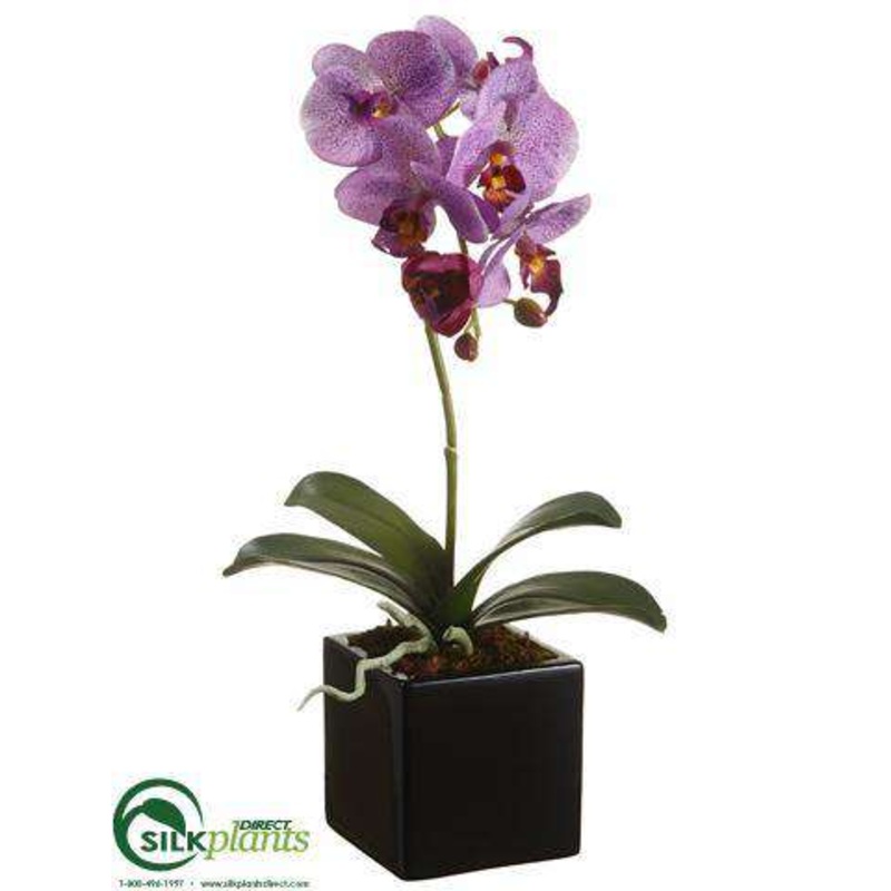 Silk Plants Direct Phalaenopsis Orchid Plant – Orchid Lilac – Pack of 3 White Green