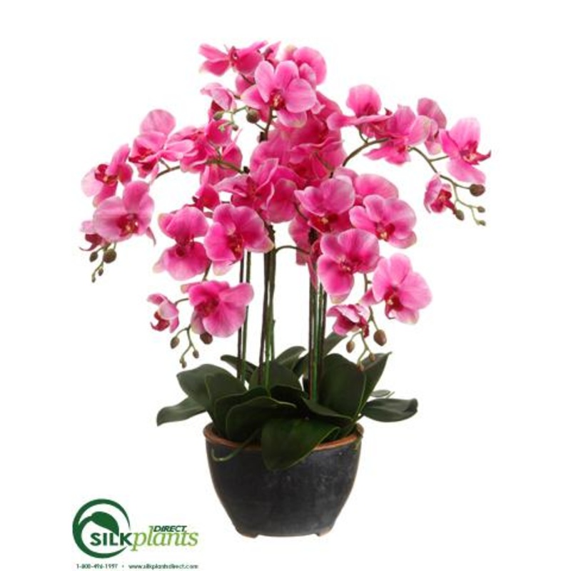 Silk Plants Direct Phalaenopsis Orchid Plant – Orchid – Pack of 2 White Green