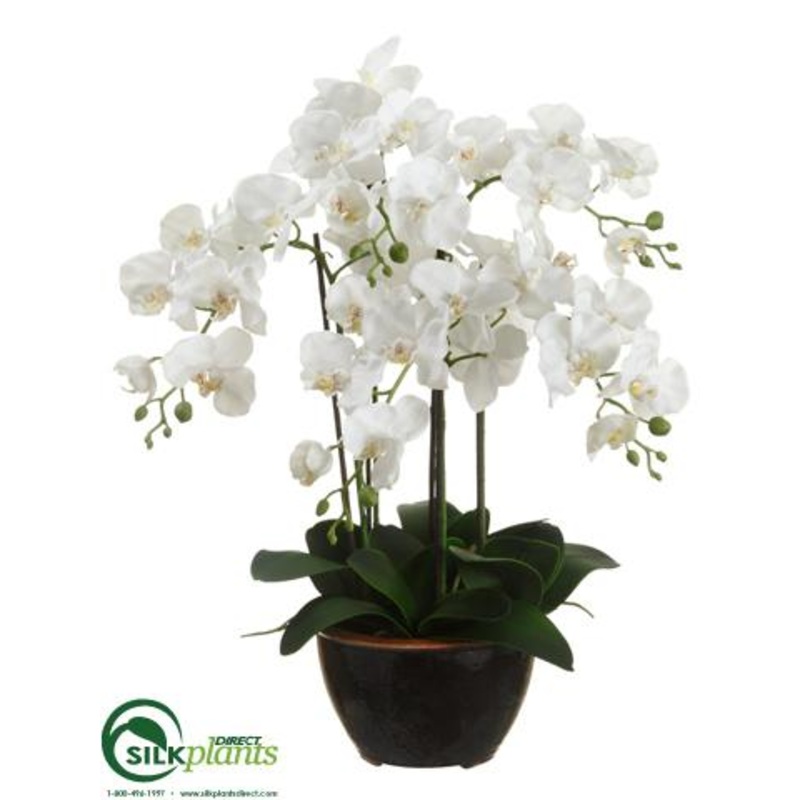 Silk Plants Direct Phalaenopsis Orchid Plant – White – Pack of 2 White Green