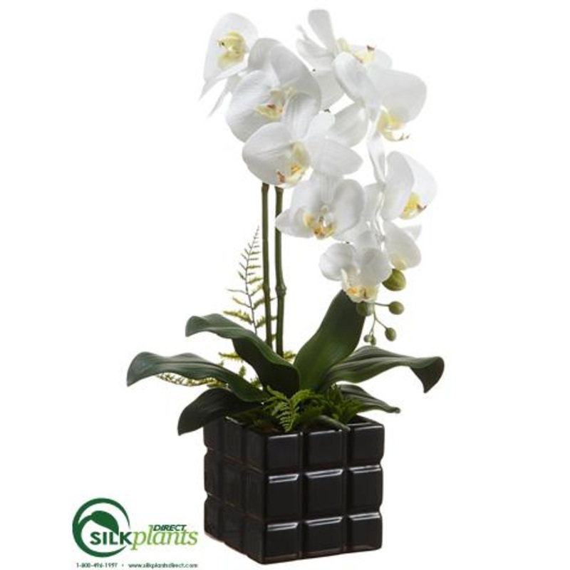 Silk Plants Direct Phalaenopsis Orchid Plant – White Yellow – Pack of 4 White Green