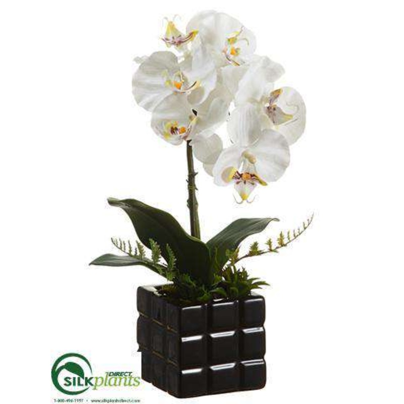 Silk Plants Direct Phalaenopsis Orchid Plant – White Yellow – Pack of 6 White Green