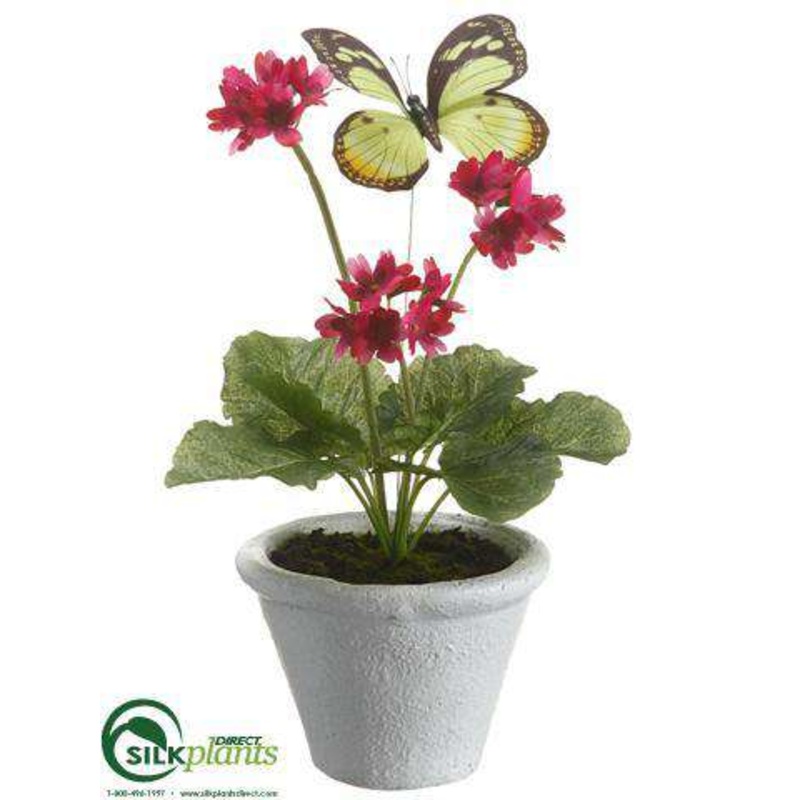 Silk Plants Direct Primula – Beauty – Pack of 6 Beauty