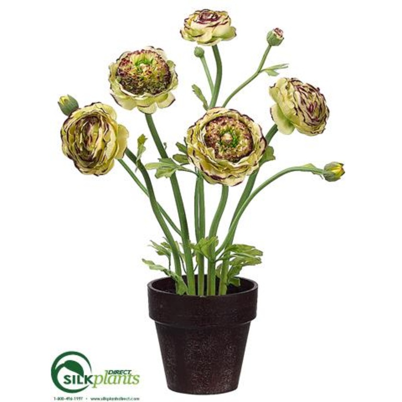 Silk Plants Direct Ranunculus – Green Burgundy – Pack of 4 Green Burgundy