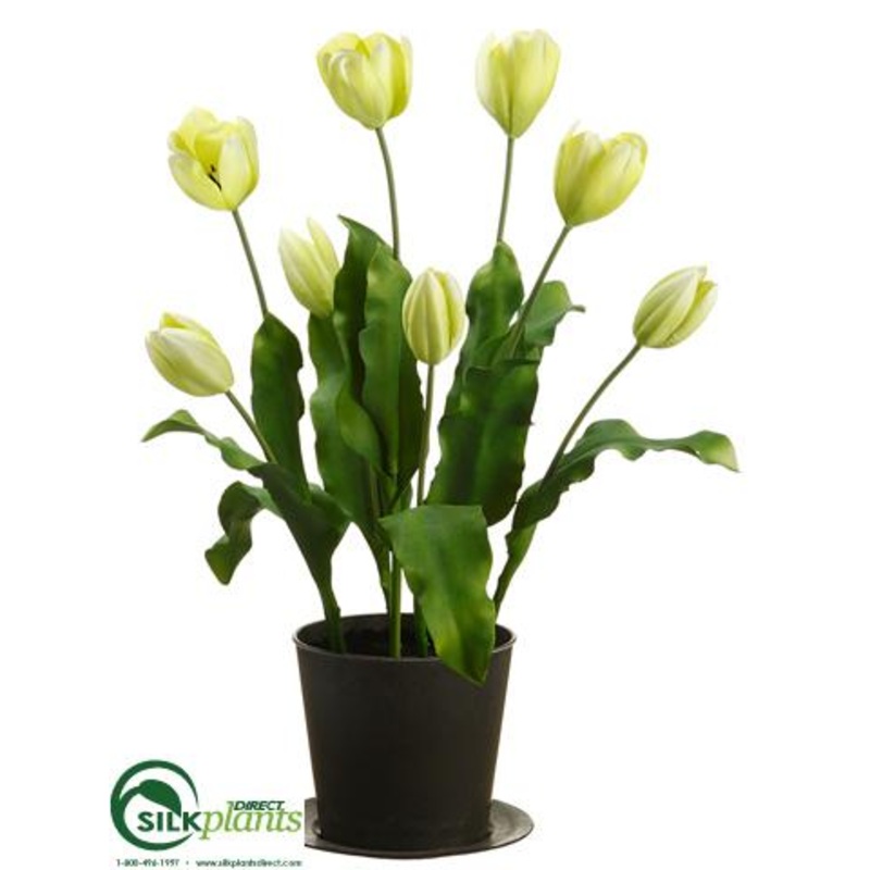 Silk Plants Direct Tulip – Green – Pack of 2 Green