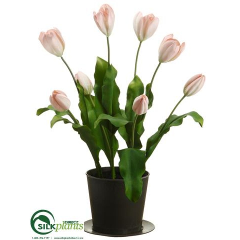 Silk Plants Direct Tulip – Pink Light – Pack of 2 Pink Light
